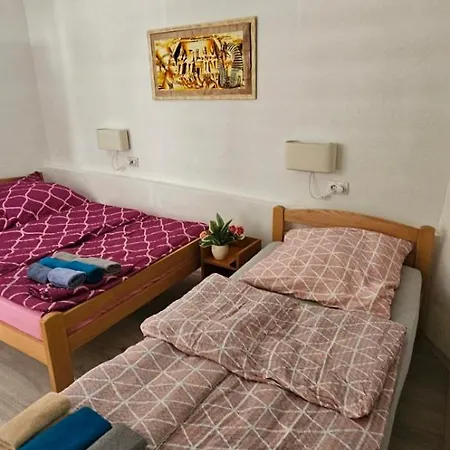 Guest house Dedovina Soko Banja