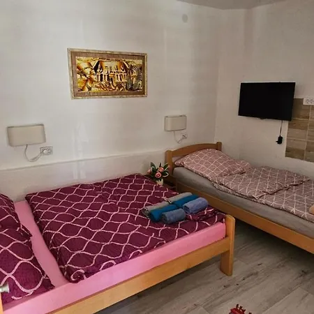Guest house Dedovina *