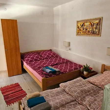 Dedovina Guest house Soko Banja